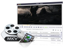 Blu-ray to MKV Ripper Mac