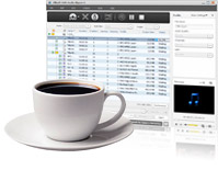 dvd audio rippen